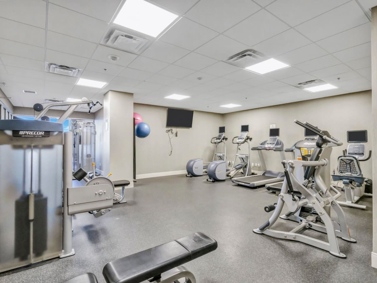Spacious, well-lit gym equipped with a variety of cardio machines, free weights, and strength-training equipment.