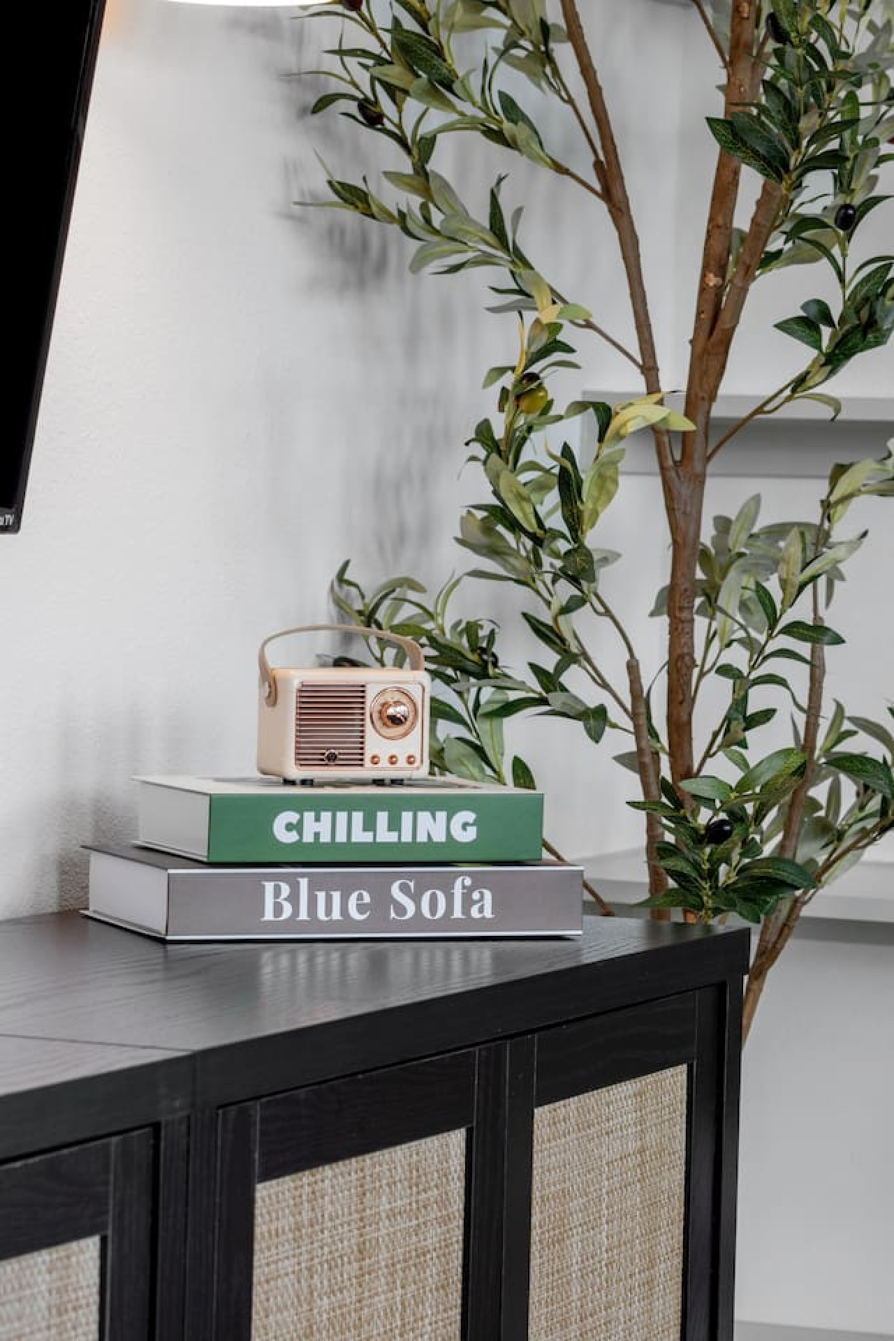 You feel a sense of peace as you step into the living room , with its inviting decor and soothing tones.
