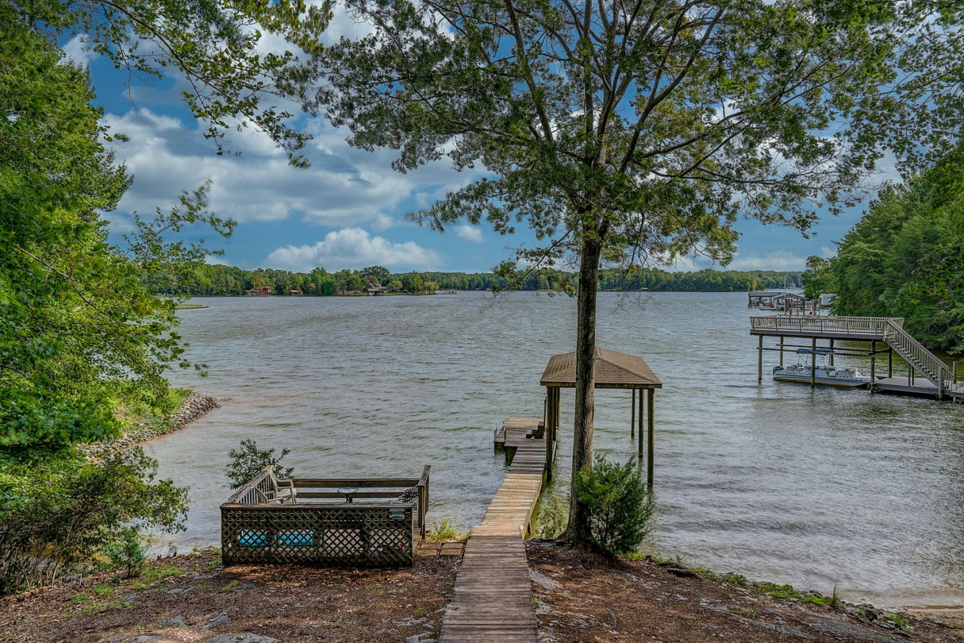Dewitt