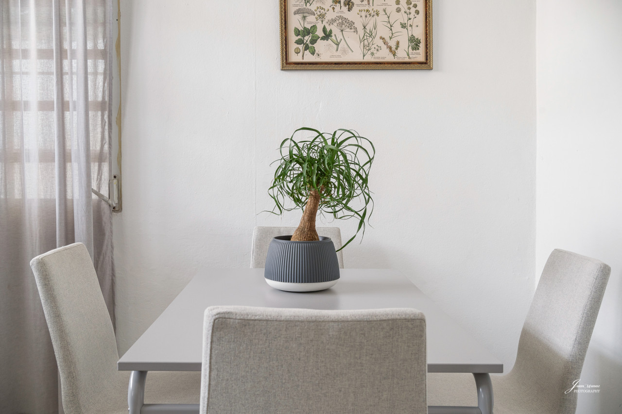 Dining table with a potted plant on it — Villa Blanca | San Juan | La Plácita, Miramar
