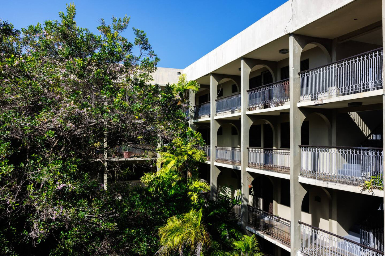 Building's arched walkways among tropical trees — Ocean Sol Historic Old San Juan