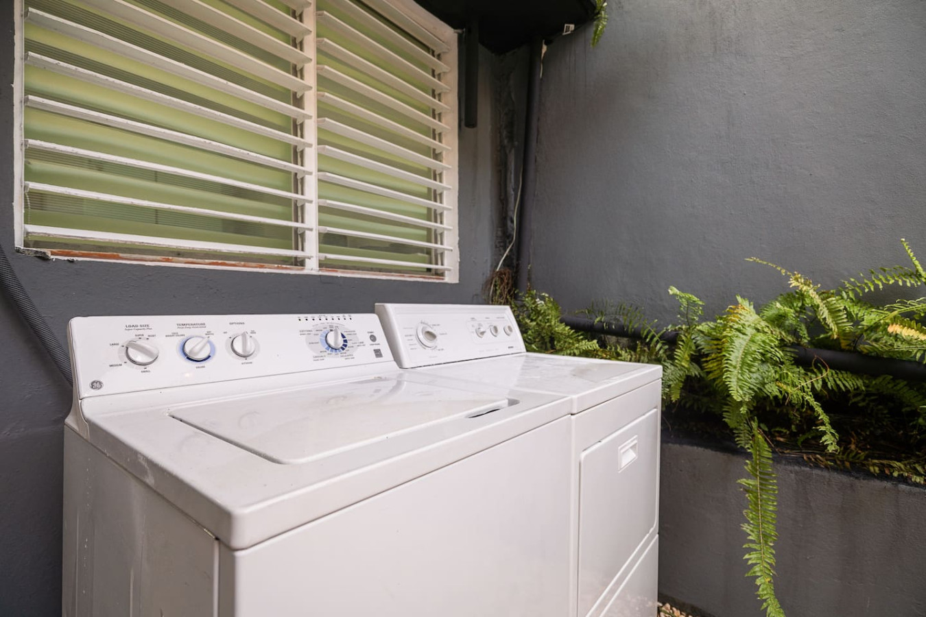 Washer and dryer on the patio — Puerto House - Private Patio, Santurce