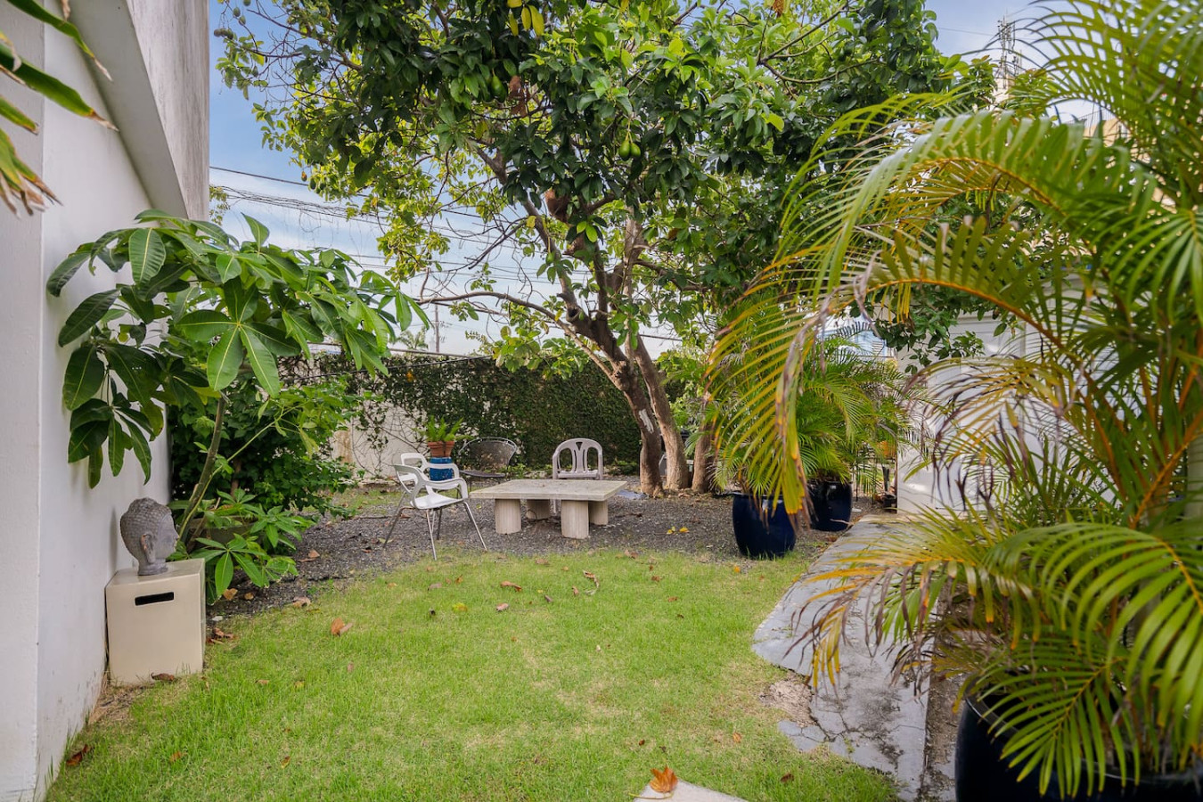 Patio table with chairs in front of a tree — Punta Las Marias Studio - Short Walk to the Beach, Santurce