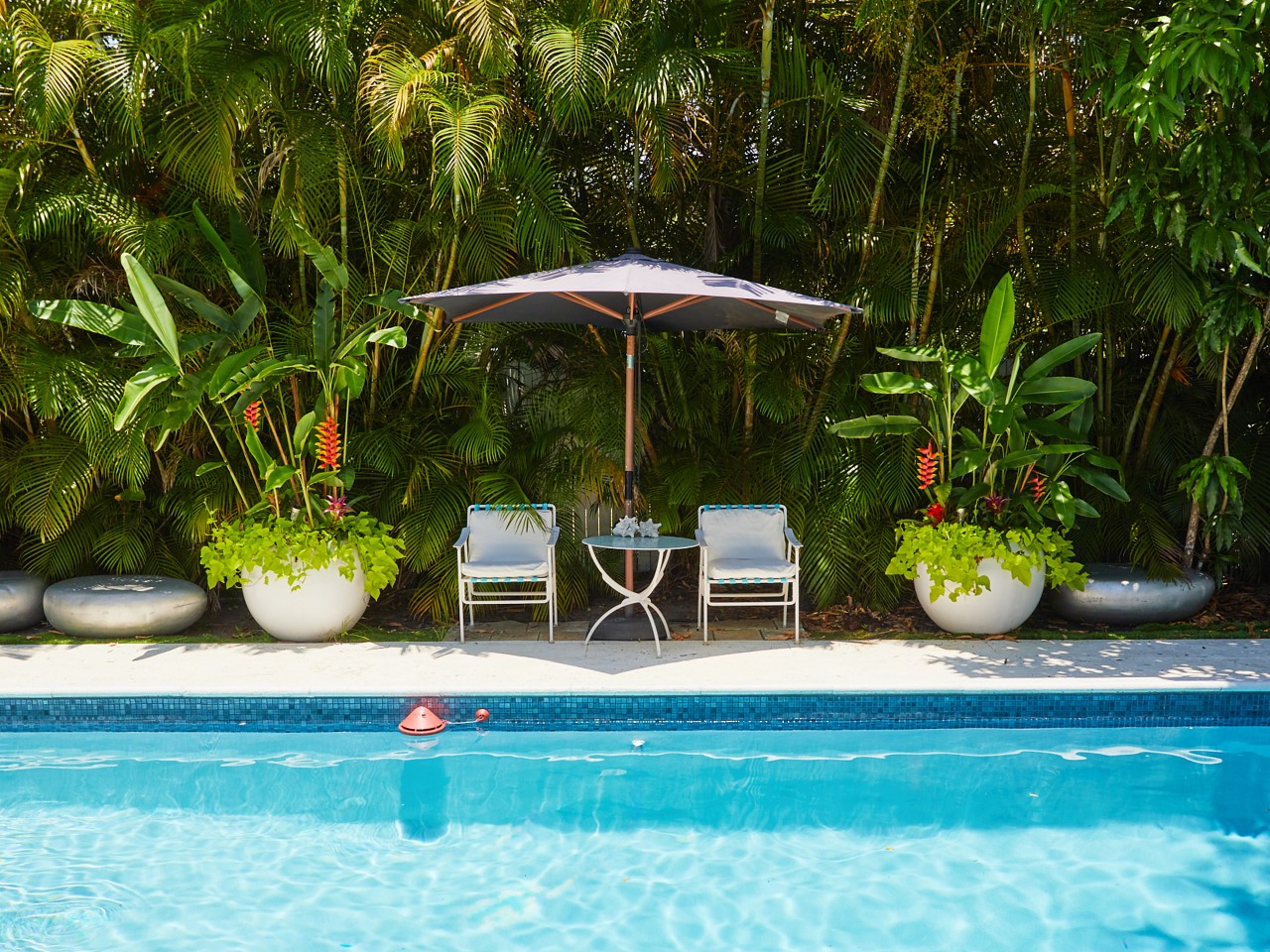 Tropical Retreat With Saltwater Pool And Garden Oasis - Serene Haven - Bahamas