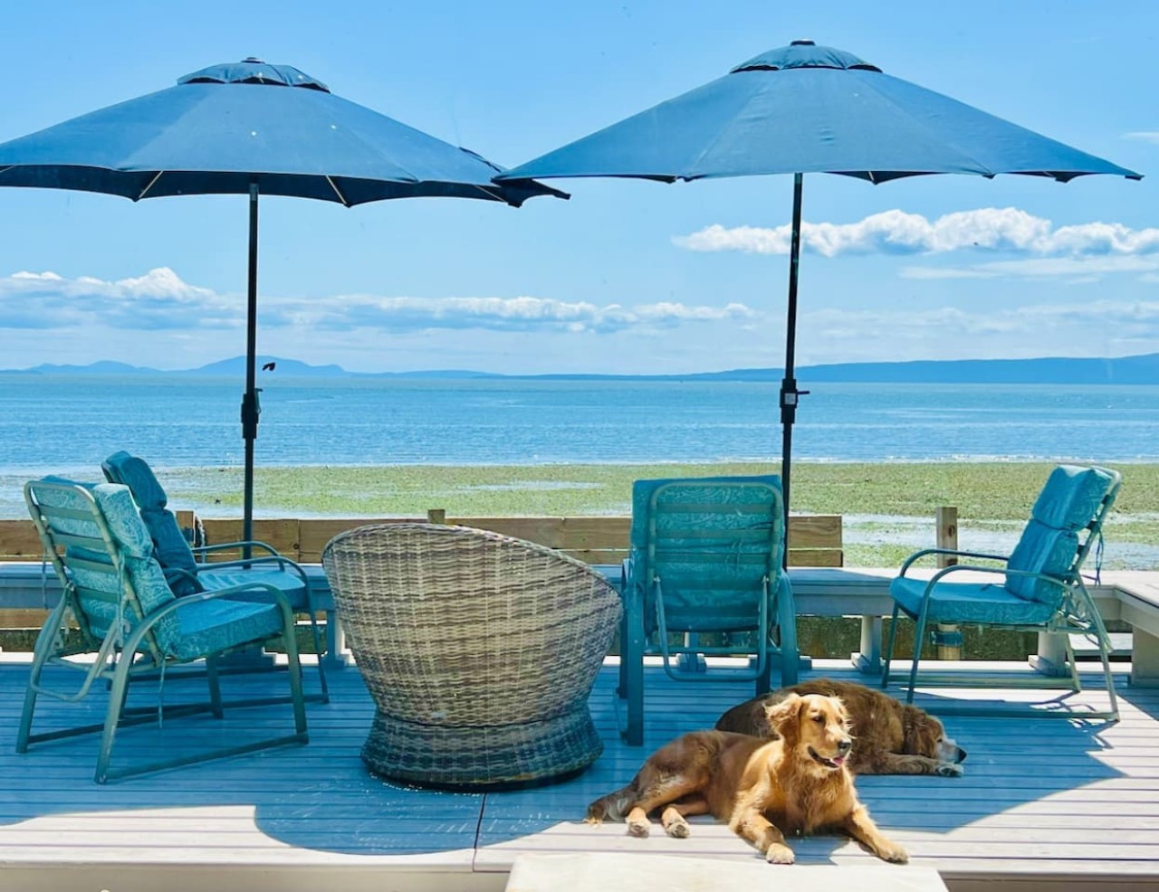 Private Oceanfront Cottage With Beach - Photo 3