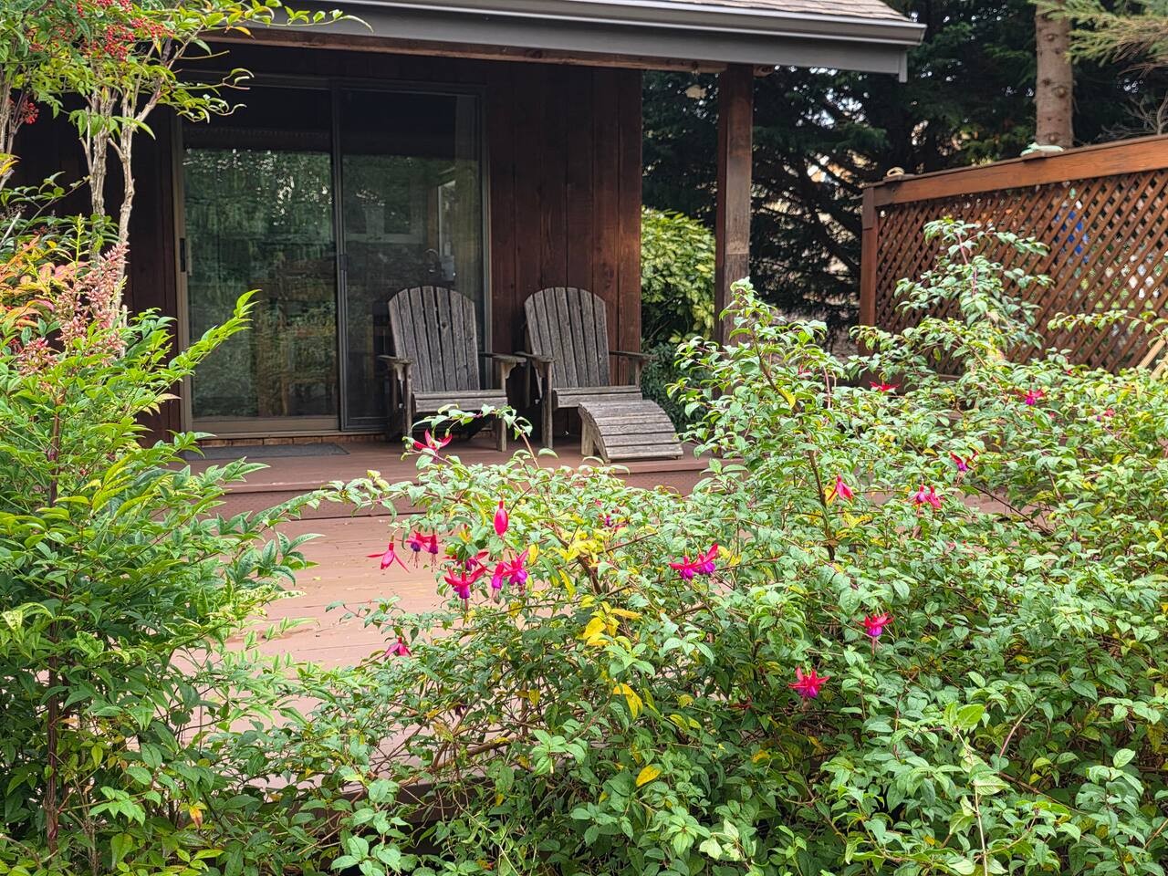 Maple Avenue Retreat - Large Lawn and Patio Space - Photo 5