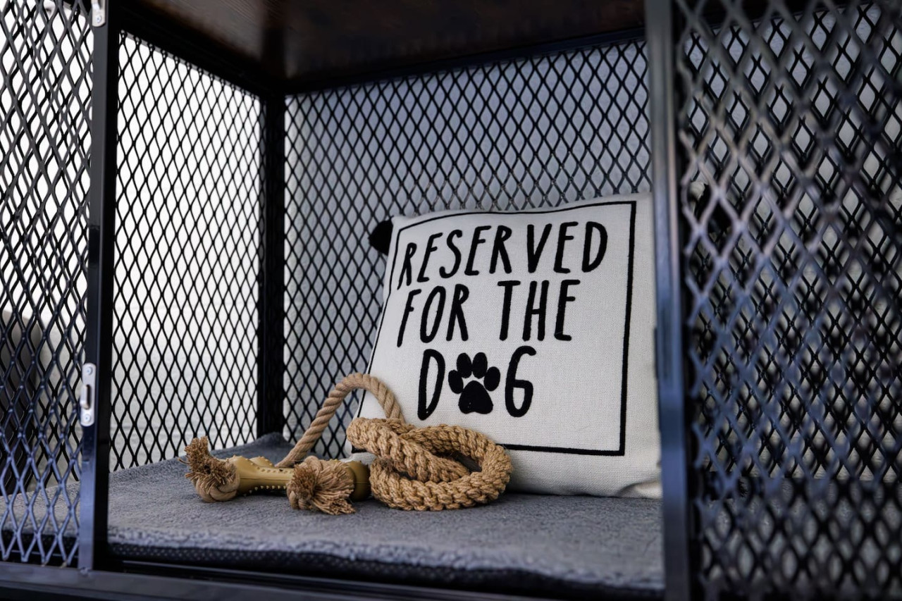 The Cooper Home, Dogs Welcome!