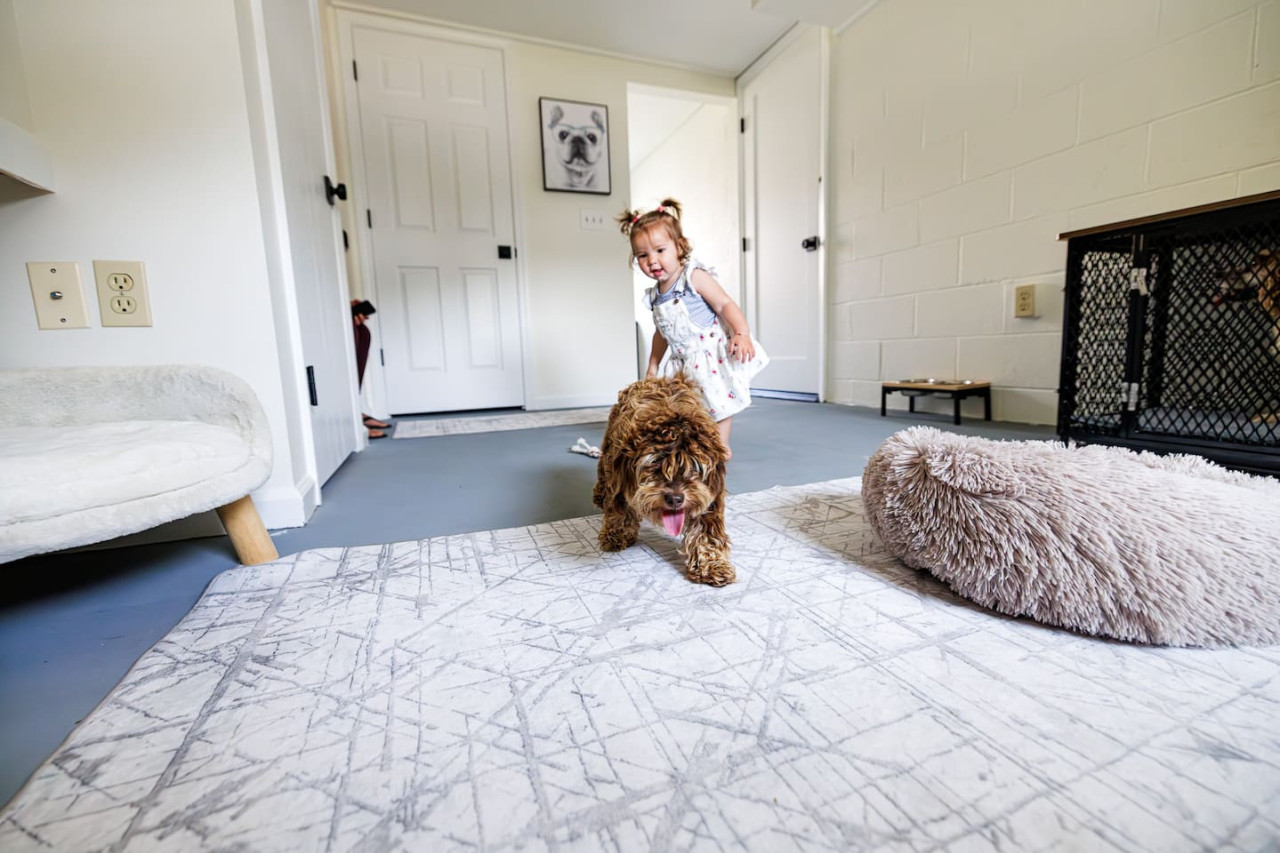The Cooper Home, Dogs Welcome!
