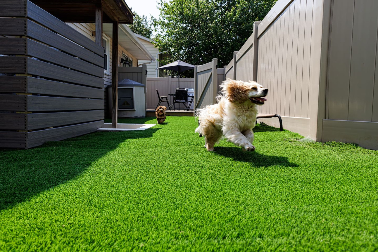 The Cooper Home, Dogs Welcome!
