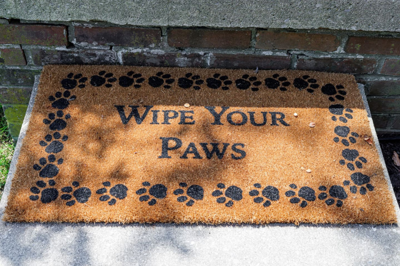 The Cooper Home, Dogs Welcome!