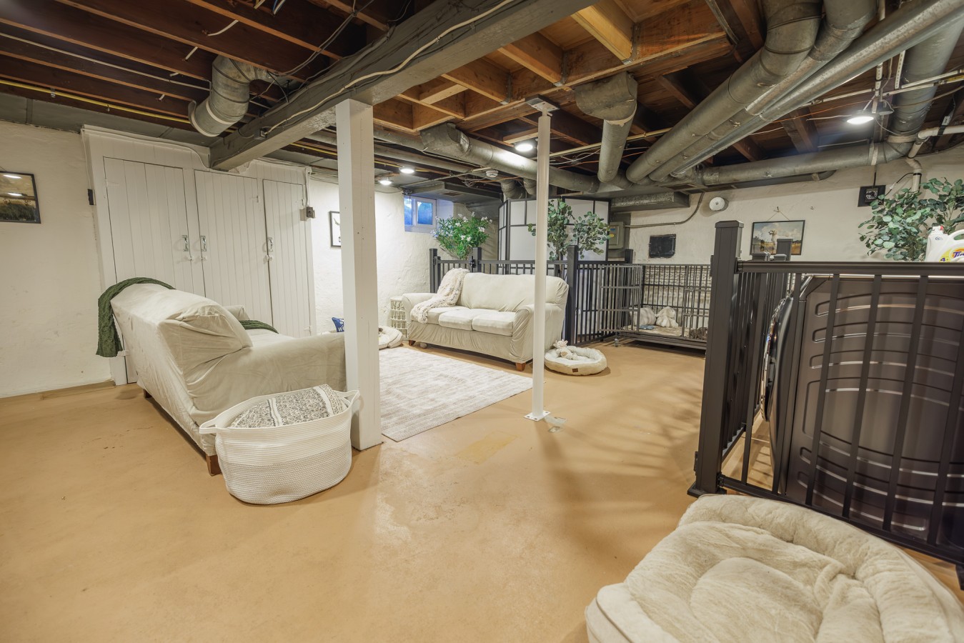 The Cooper Cottage, Dogs Welcome!