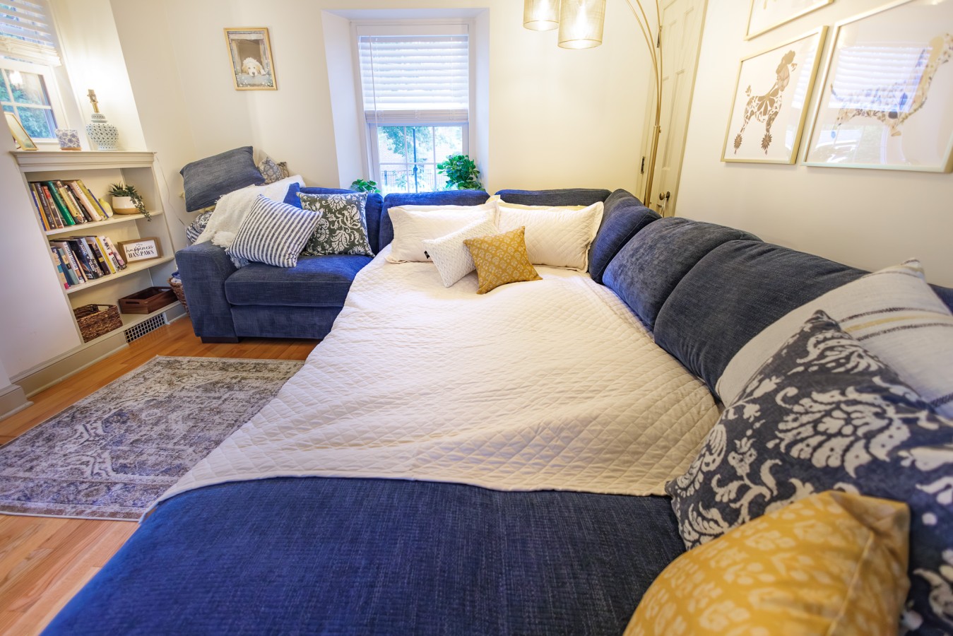 Pullout Couch 1