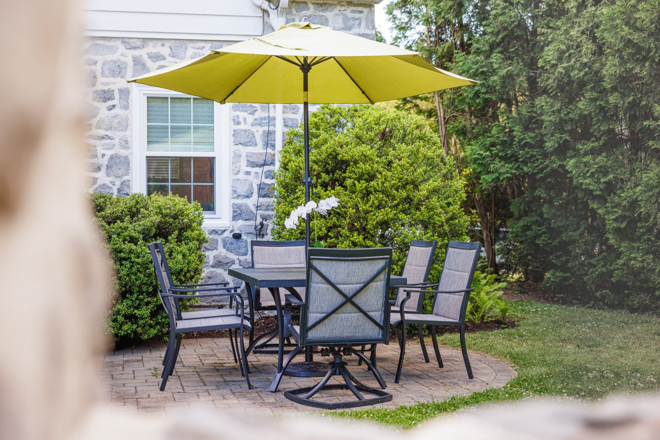 The Cooper Cottage, Dogs Welcome!