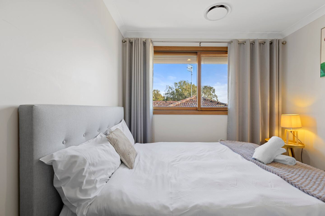 Every morning, the world unfolds outside my window, a quiet symphony of light and peace.