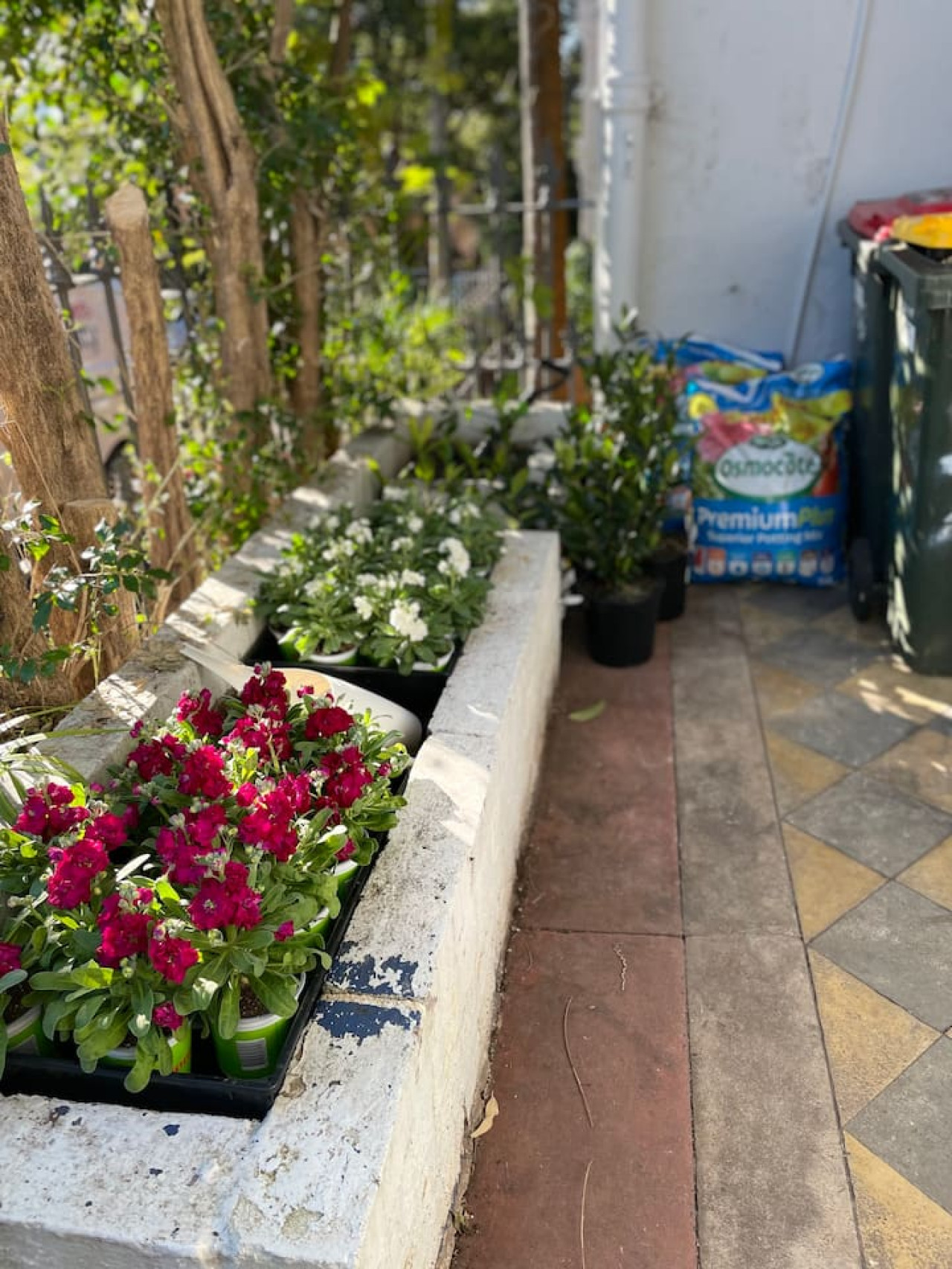Welcome guests with our charming mini front garden.
