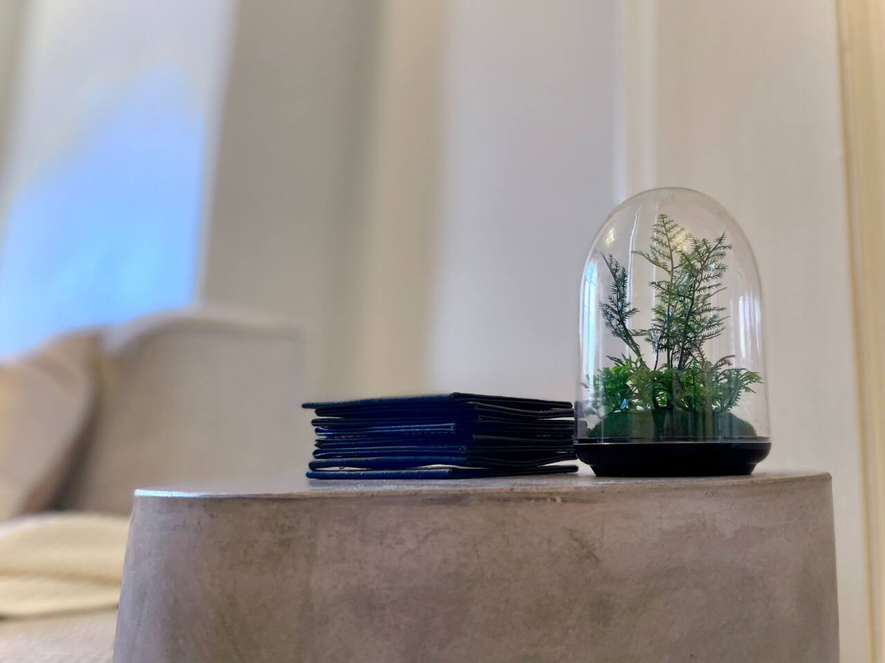 They say a touch of green always makes a home.