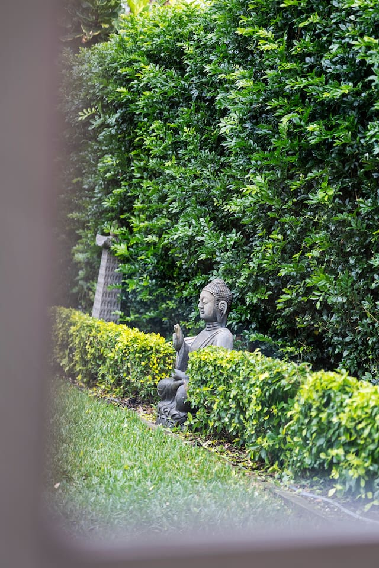 Enjoy the spacious, grassy backyard.
