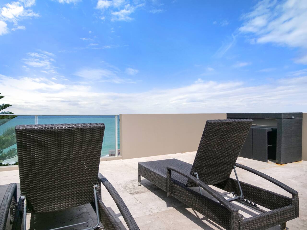 See nature at it's best in the comfort of your home!