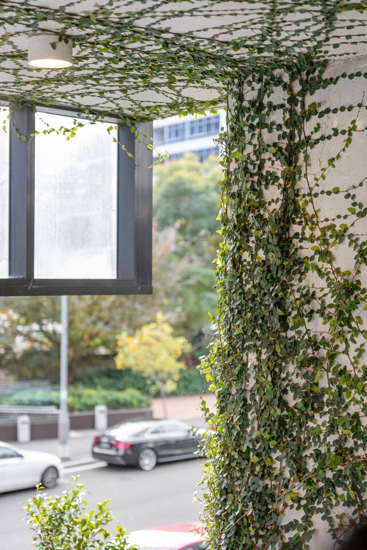 Breathe in the greenery from your window—perfect for a tranquil urban retreat. By Superhostly