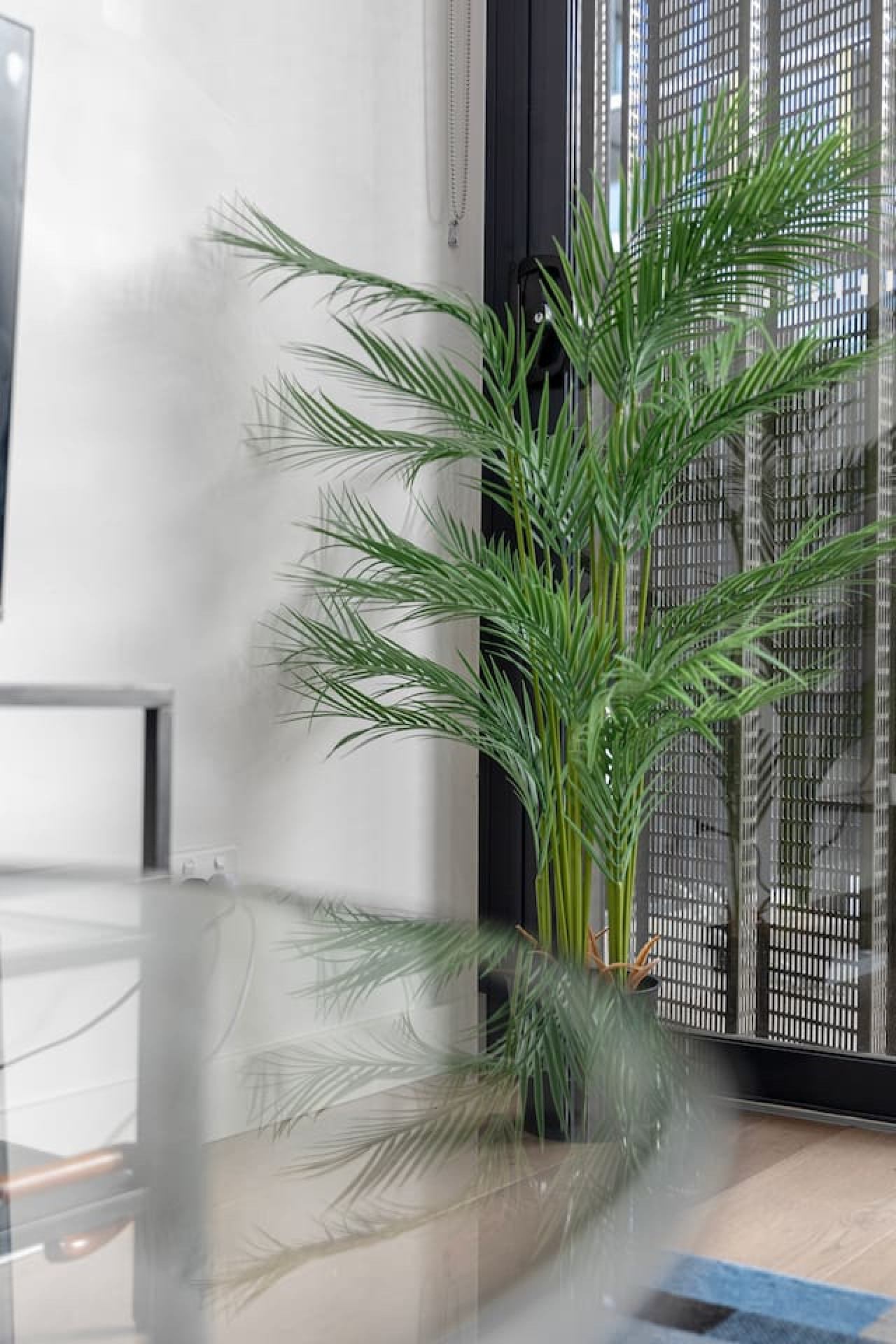 Touch of greenery for a relaxing and refreshing indoor ambiance. By Superhostly