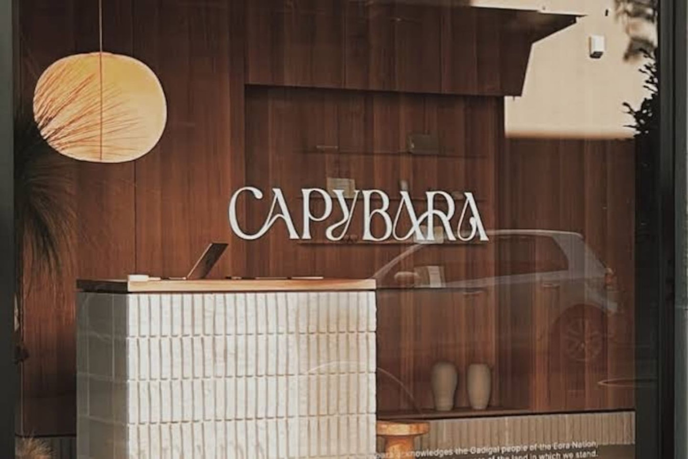 Capybara Bathing - one of the truly best spas in sydney is only a 5 minute walk away.