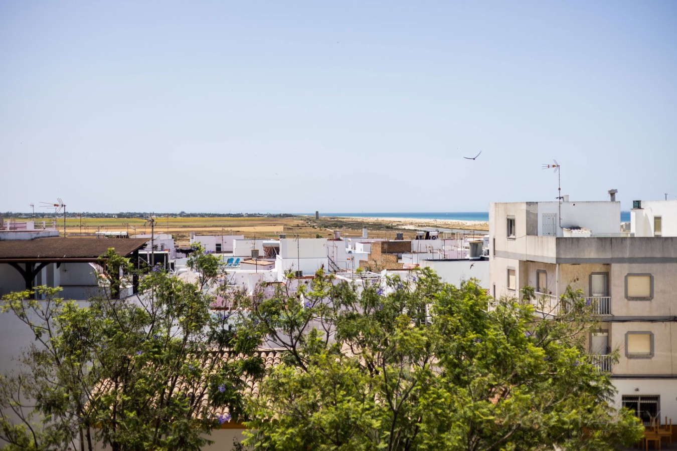 Conil Sunset Retreat - Conil de la Frontera — foto 37
