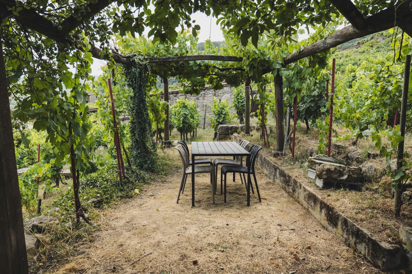 Vineyards & Miño Views · Ribeira Sacra — foto 20