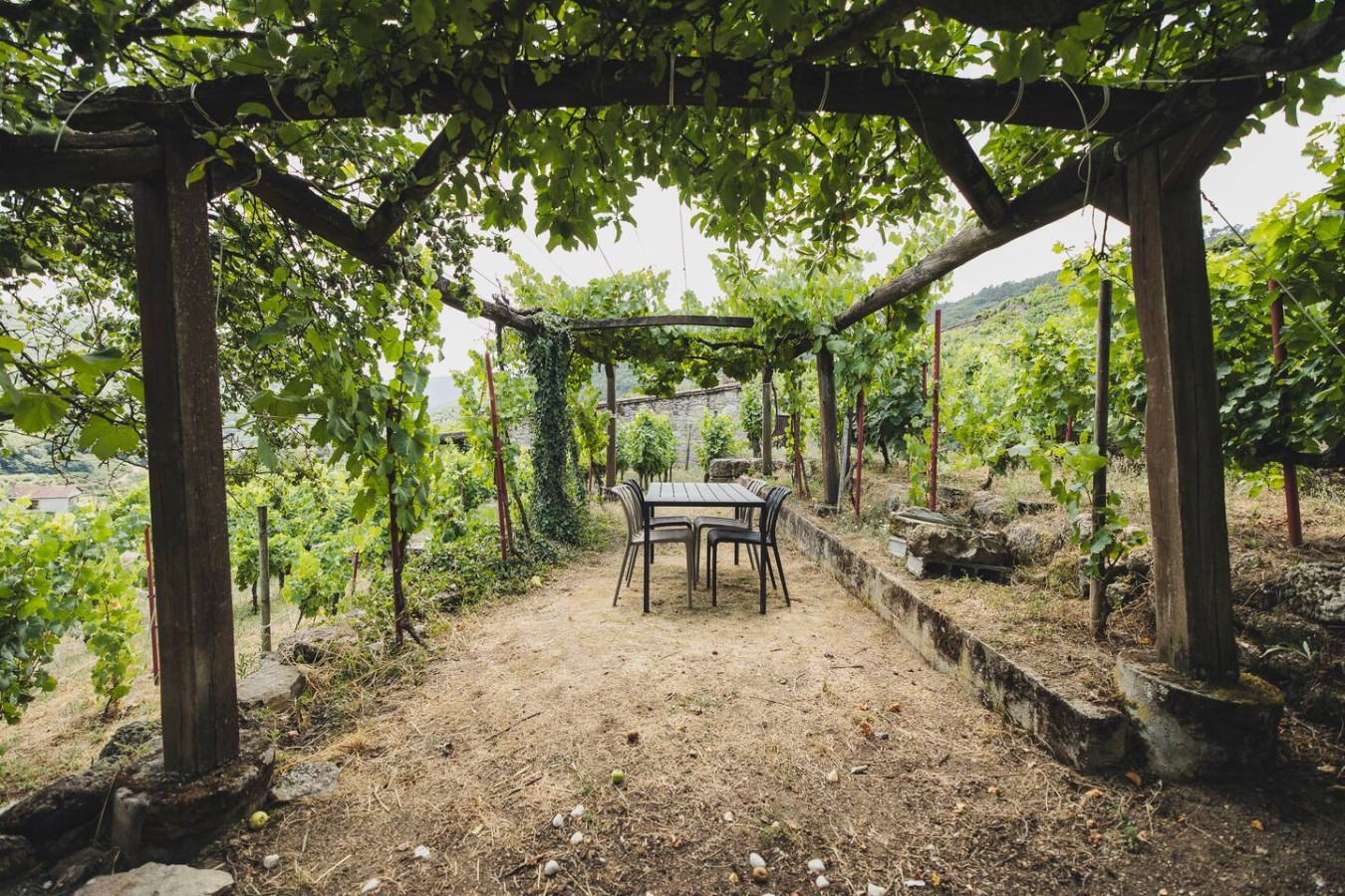 Vineyards & Miño Views · Ribeira Sacra — foto 21