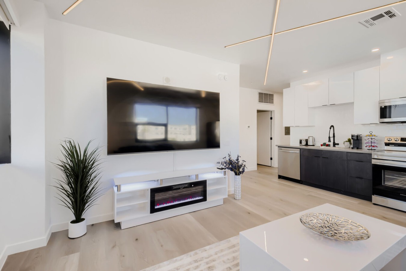 1030 N 1st St Unit 301 - Web Quality - 009 - 09 Living Room.jpg