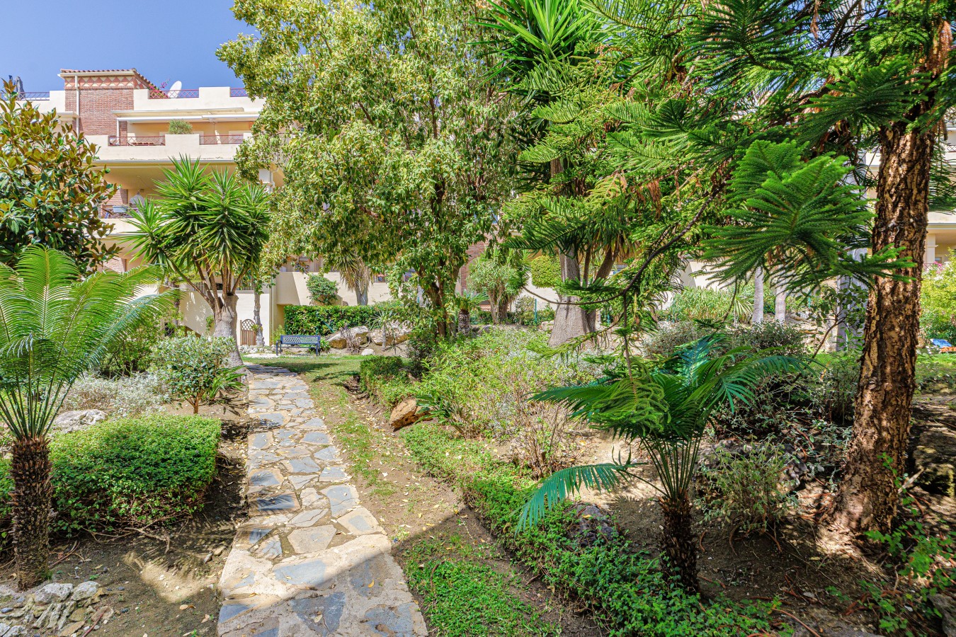 Garden path through the development