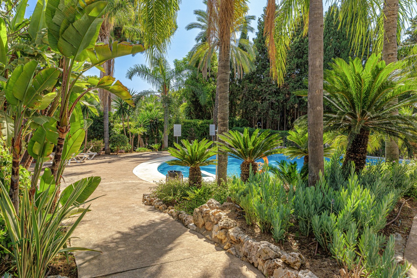 Tropical gardens and palm lined paths leading to the pool