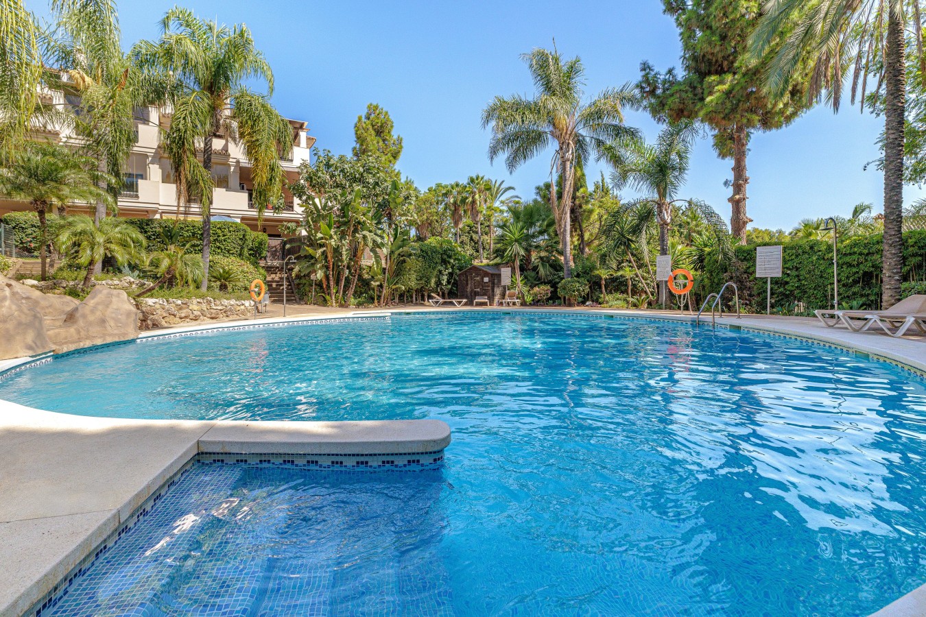 Communal pool with easy step entry, surrounded by palms