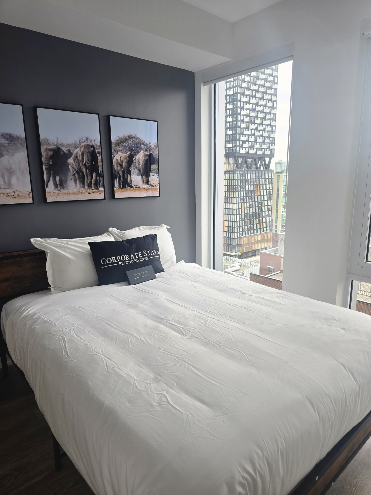 Toronto – Elm-Ledbury – 1B (1505)