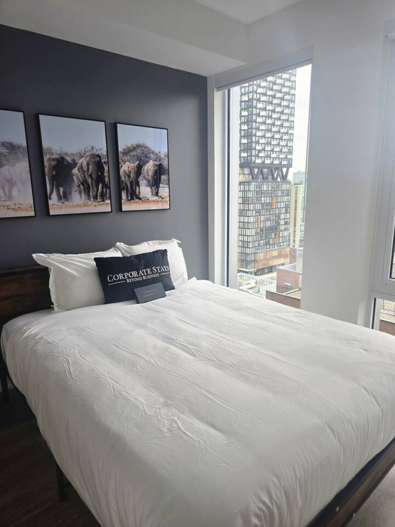 Modern 1BR Apt with Stunning Views and Pool Access