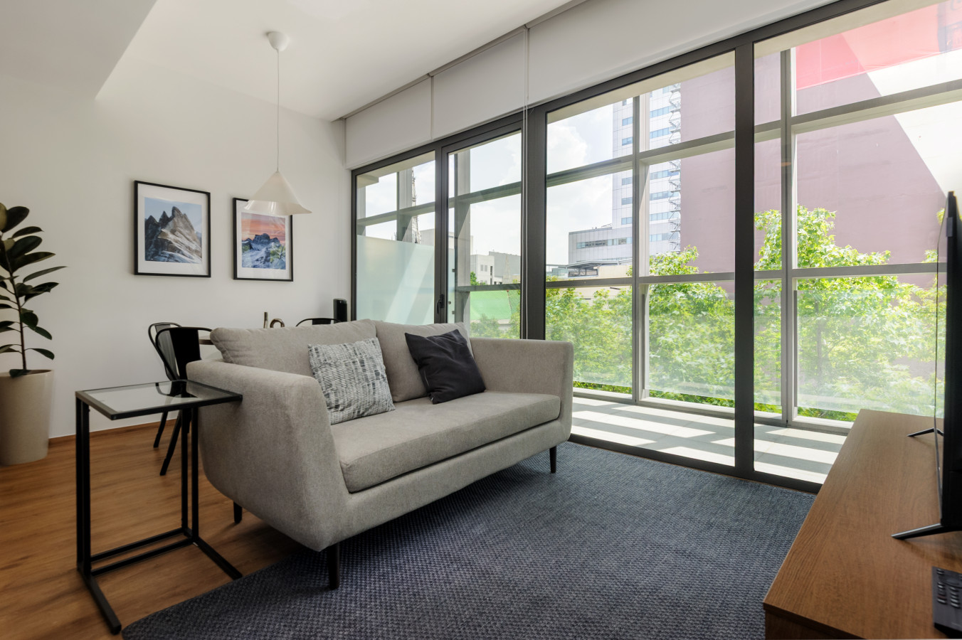 Furnished 2 Bedroom Apartment in Mexico City