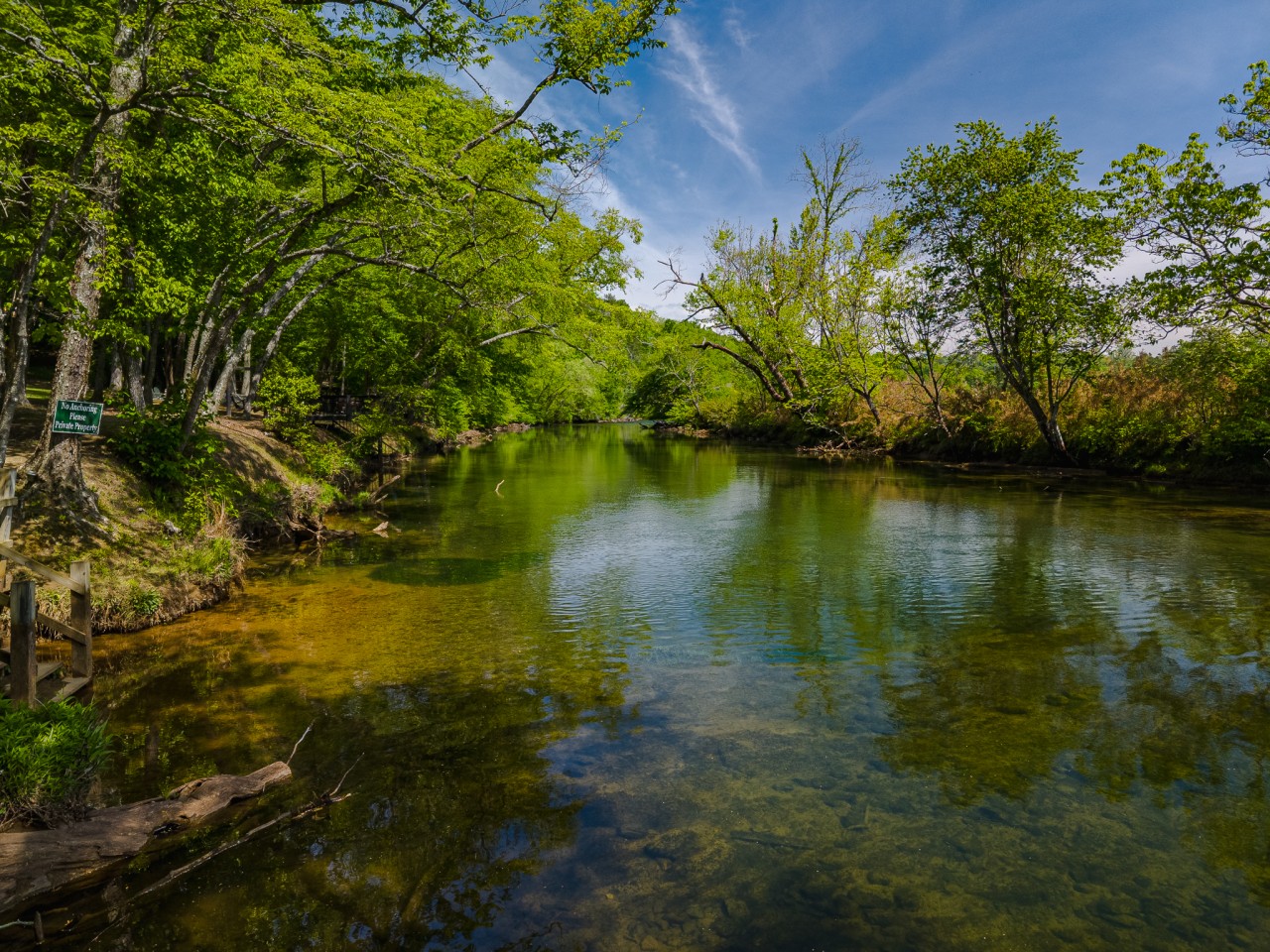 Toccoa River Cottage | Romantic | River Access - photo 32