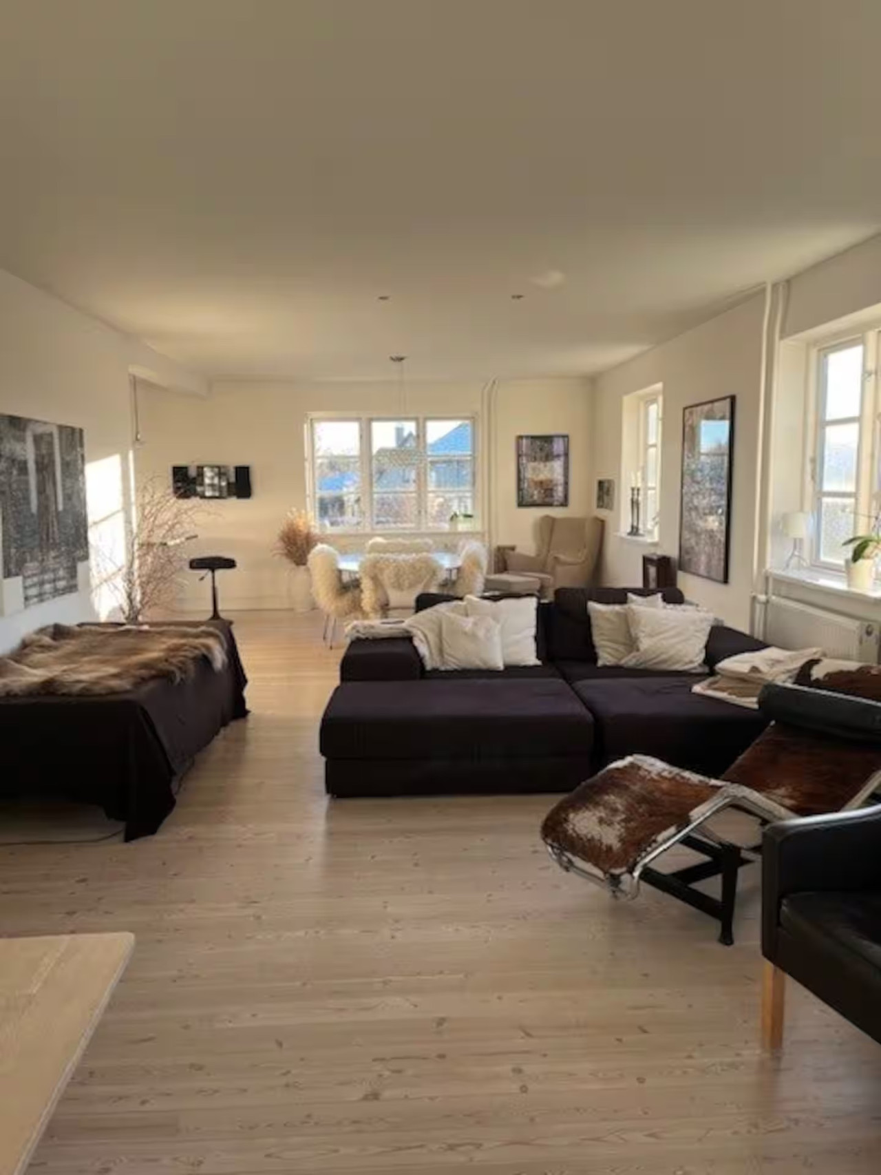 Suite 1 - Luxurious, spacious apartment