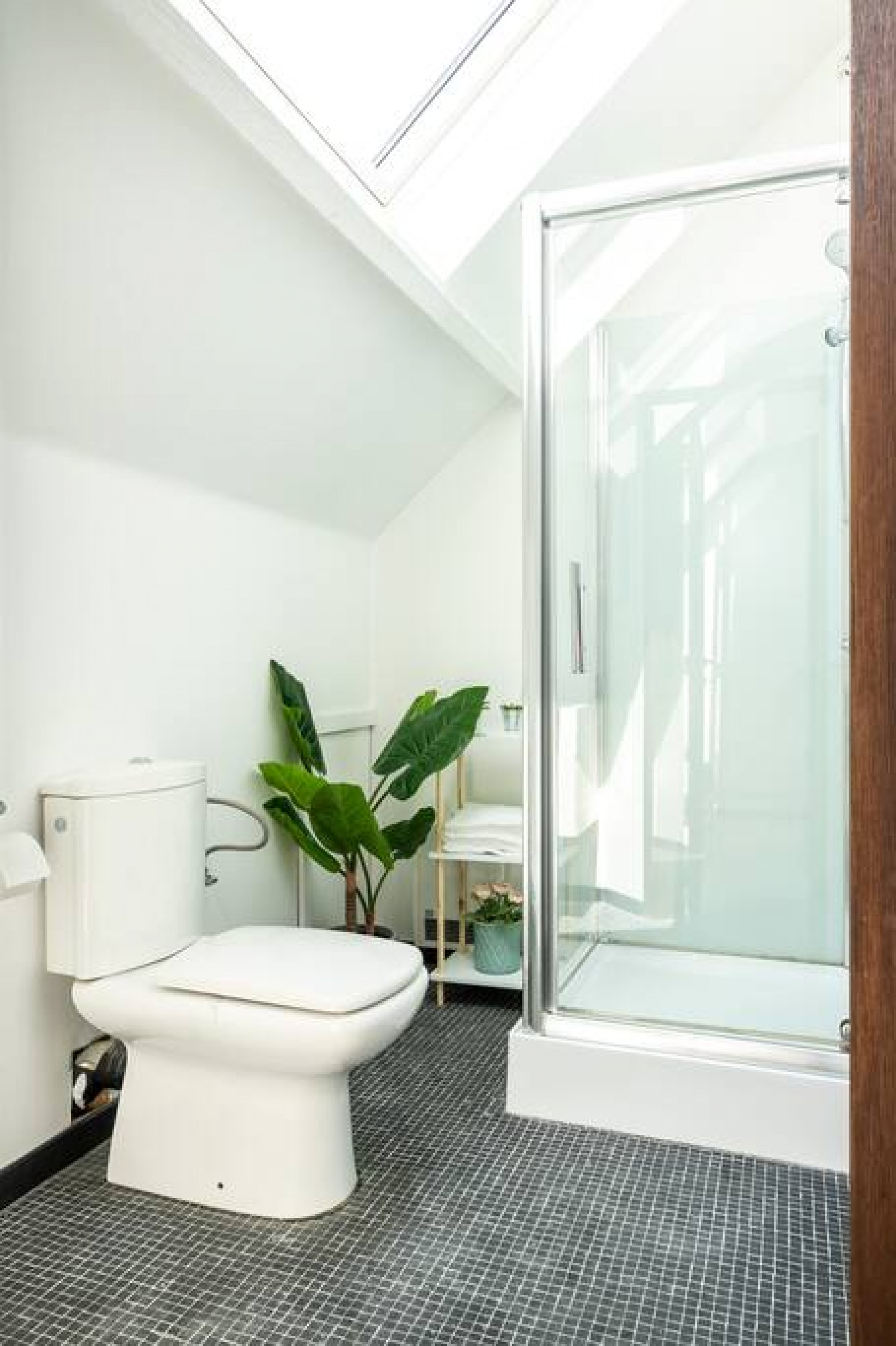 The Rose Tree photo 1