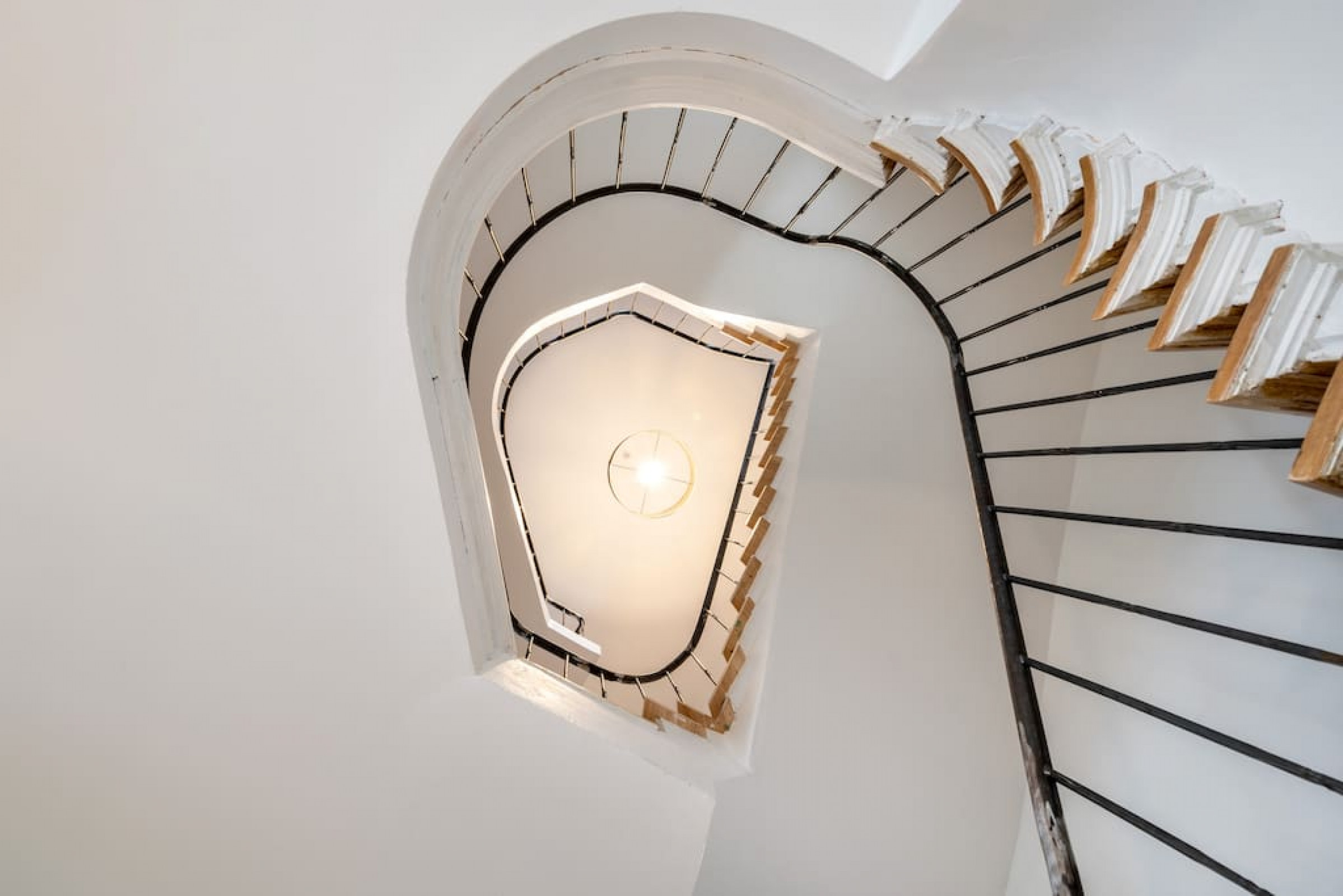 The Desert Rose photo 22