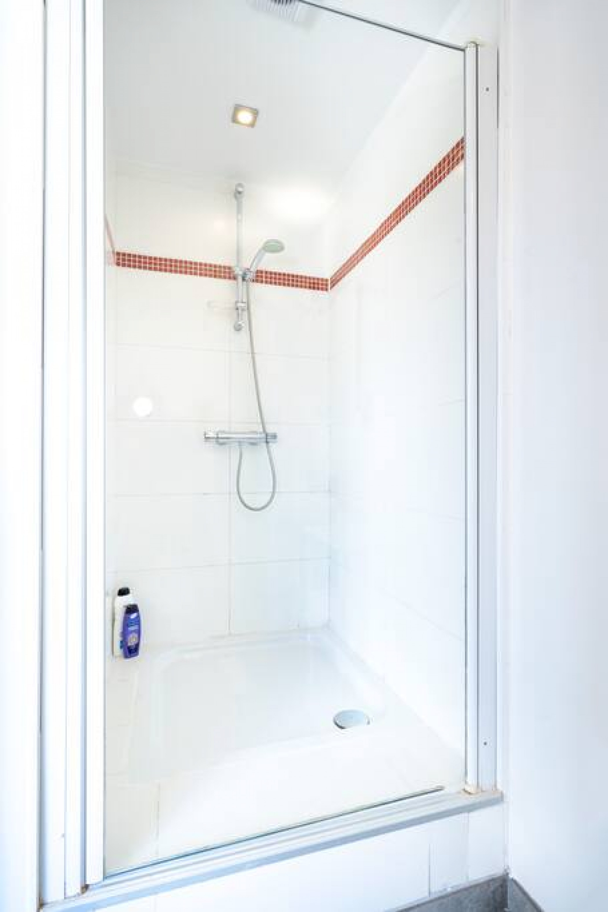 The Desert Rose photo 8