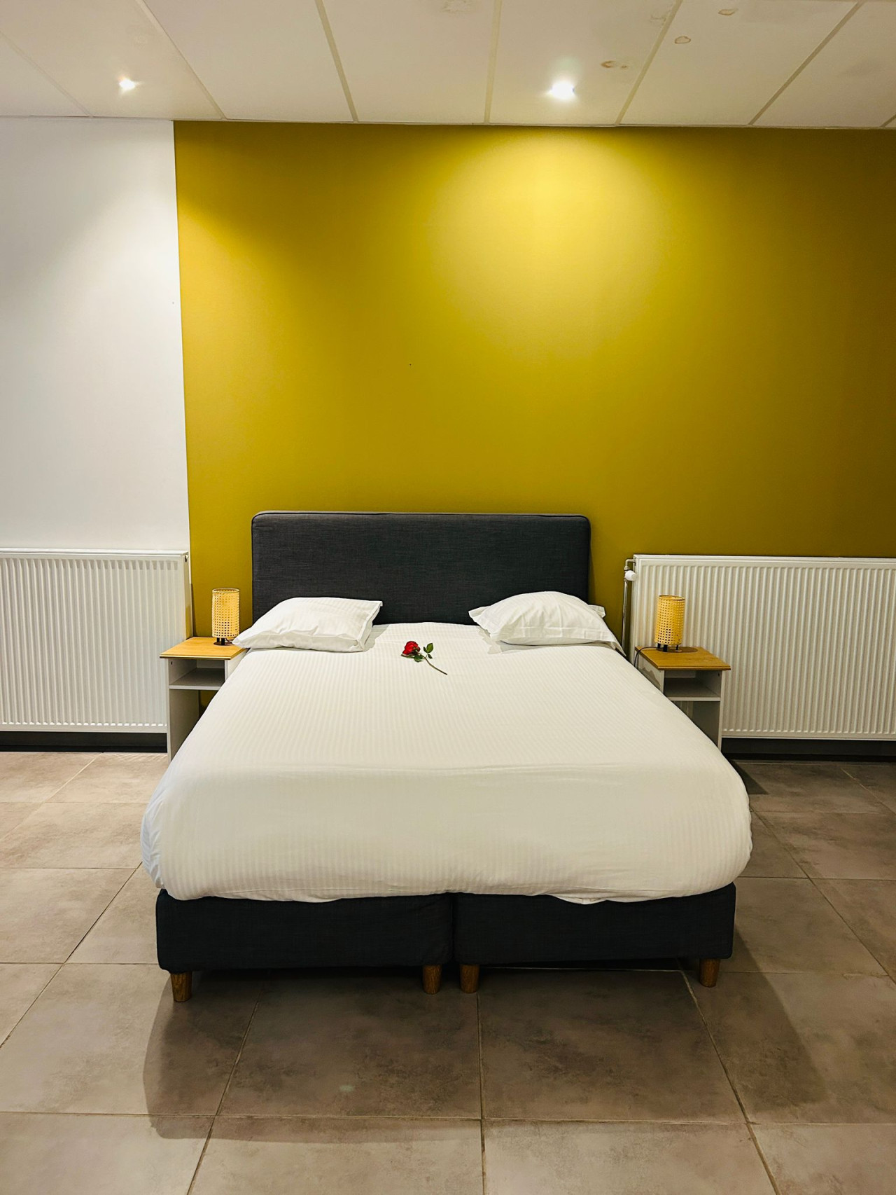 Garden Apartment photo 4