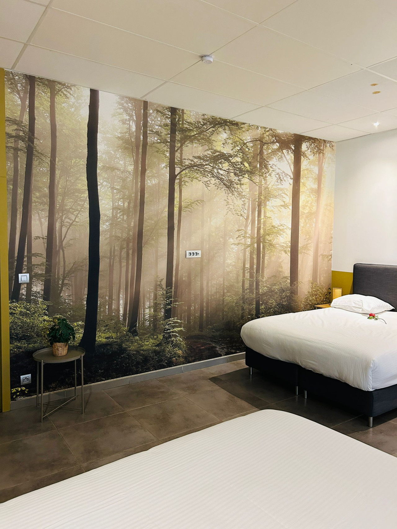 Garden Apartment photo 5