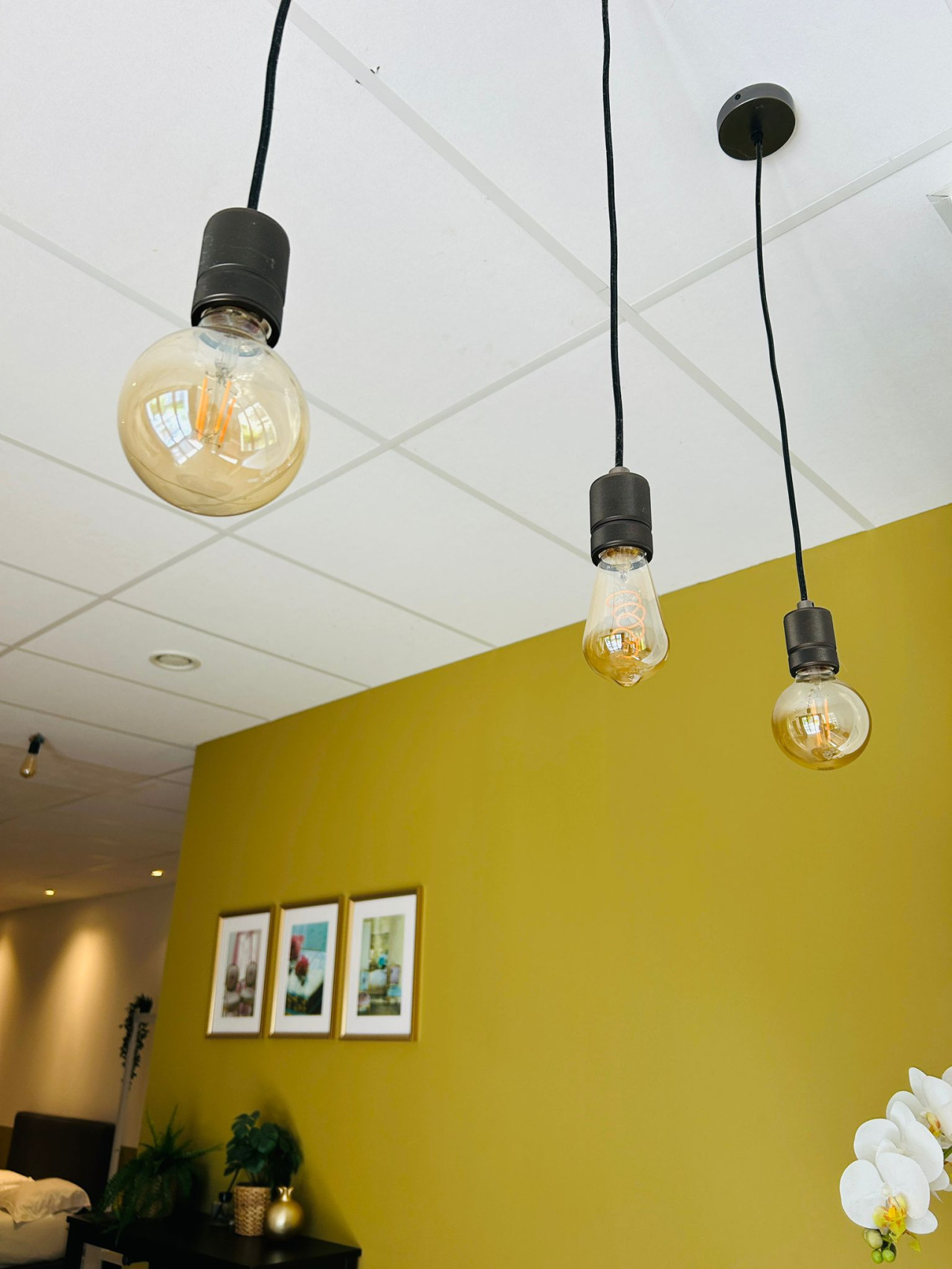 Garden Apartment photo 8