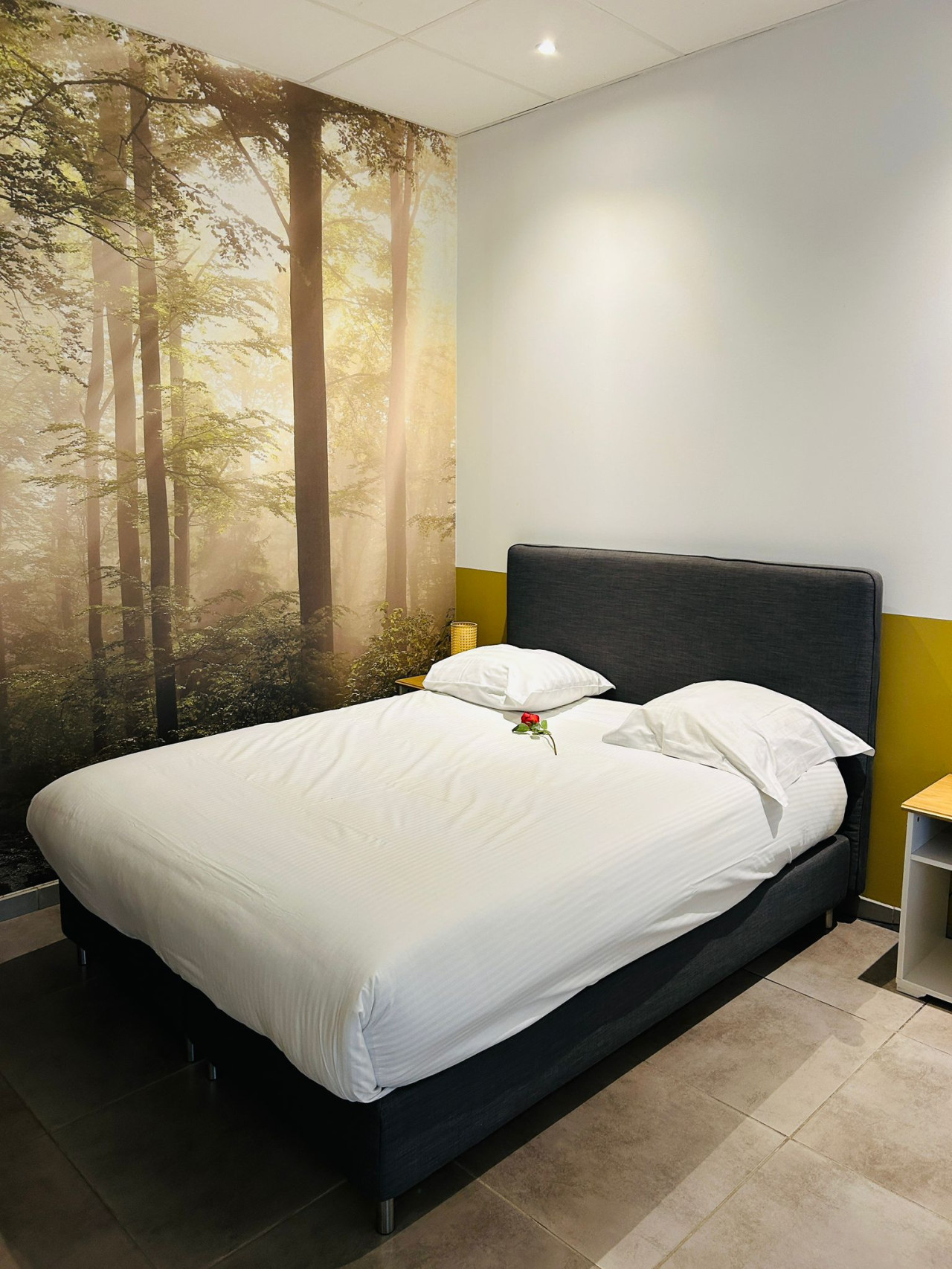 Garden Apartment photo 2