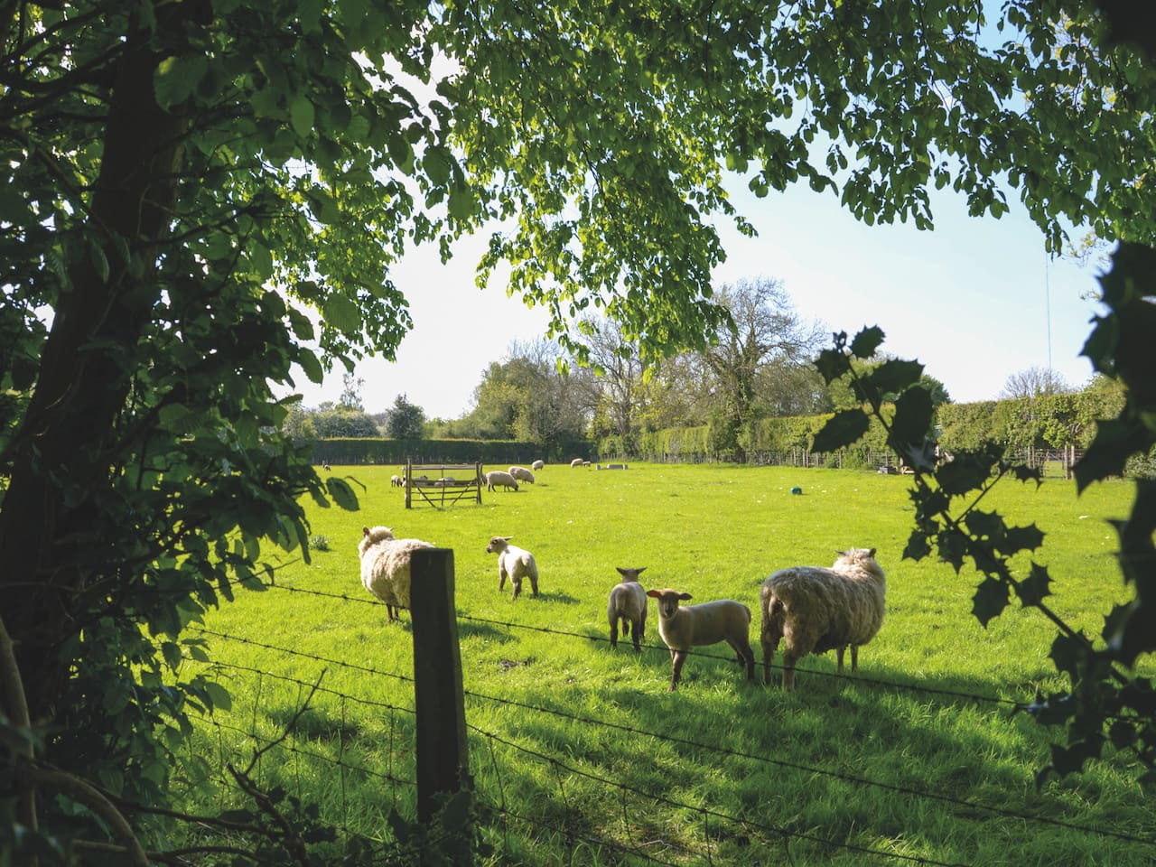 Rural Canterbury | The Dairy | Courthope Farm Cottage | Woodburner Fire in Mill Lane The Dairy - Property image 38 - VivreStays
