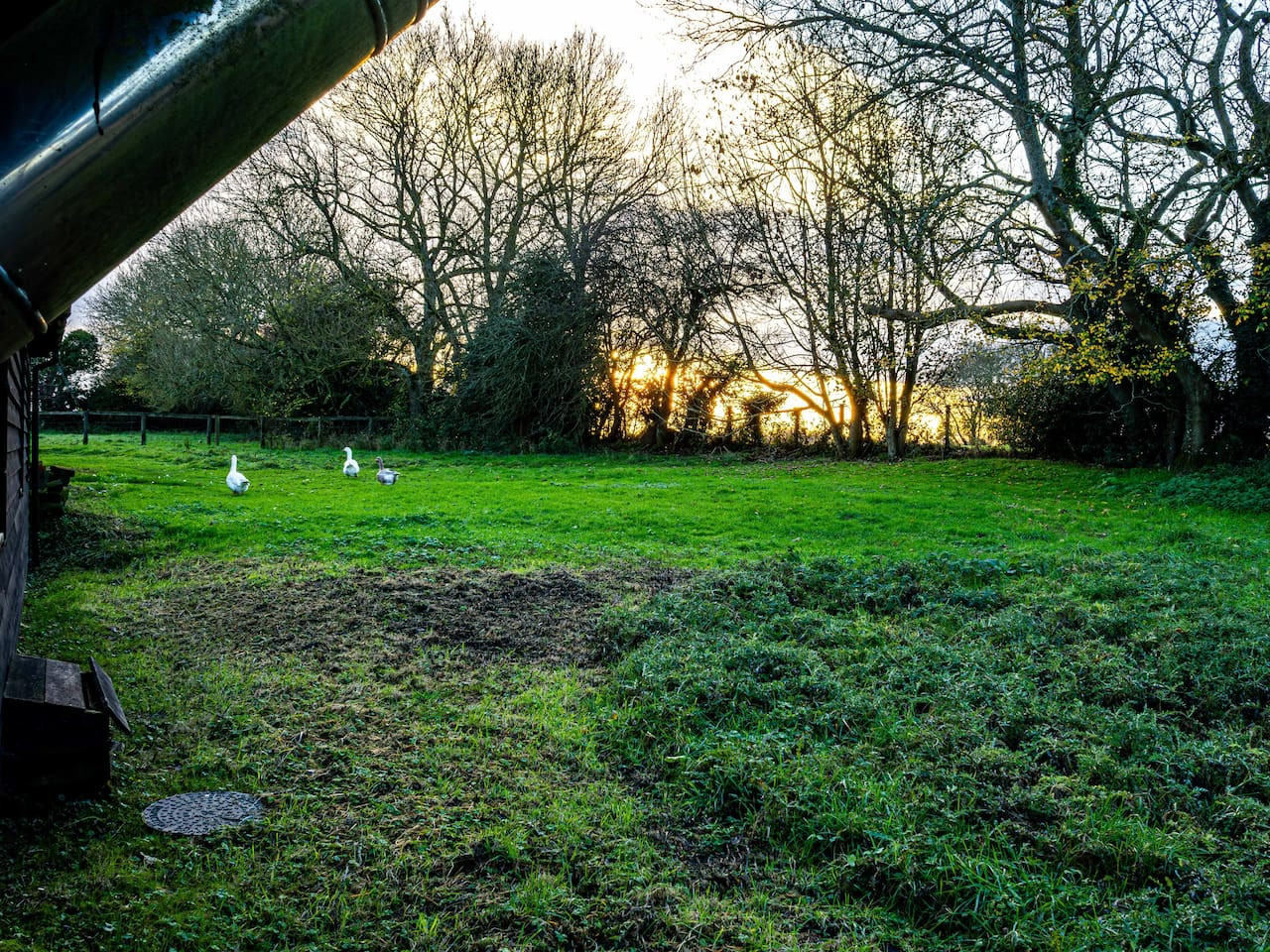 Rural Canterbury | Sheep Shed | Barn Conversion on a Farm | sleeps 4 in The Sheep Shed, Mill Lane, Courthope Farm - Property image 38 - VivreStays