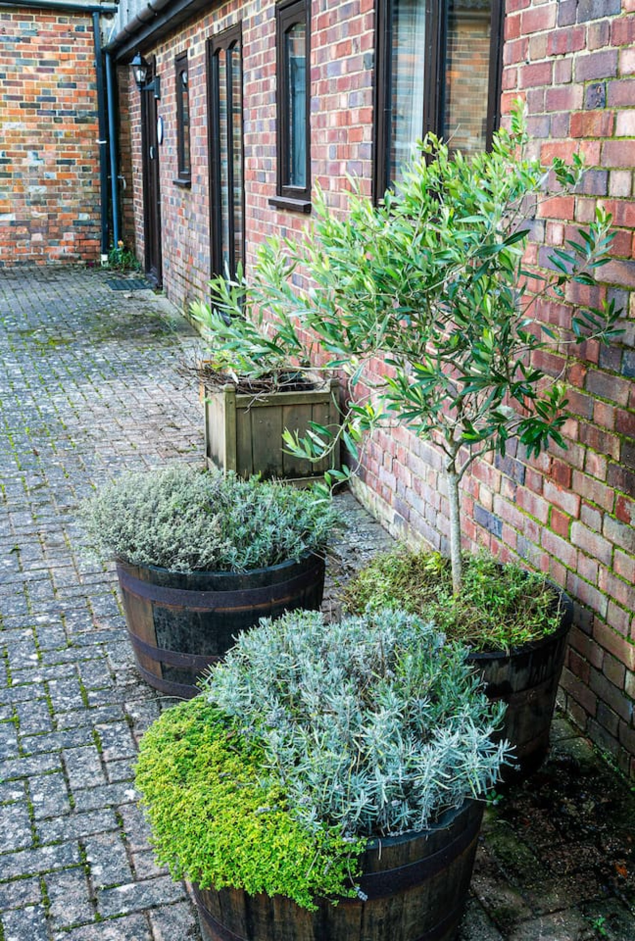 Rural Canterbury | Sheep Shed | Barn Conversion on a Farm | sleeps 4 in The Sheep Shed, Mill Lane, Courthope Farm - Property image 37 - VivreStays