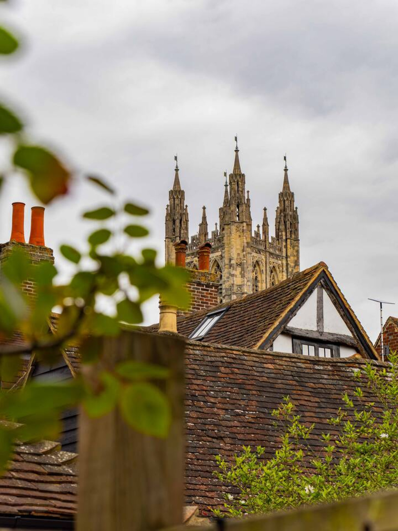 City Centre Cottage | Canterbury | Garden & Views in 41 King Street - Property image 35 - VivreStays