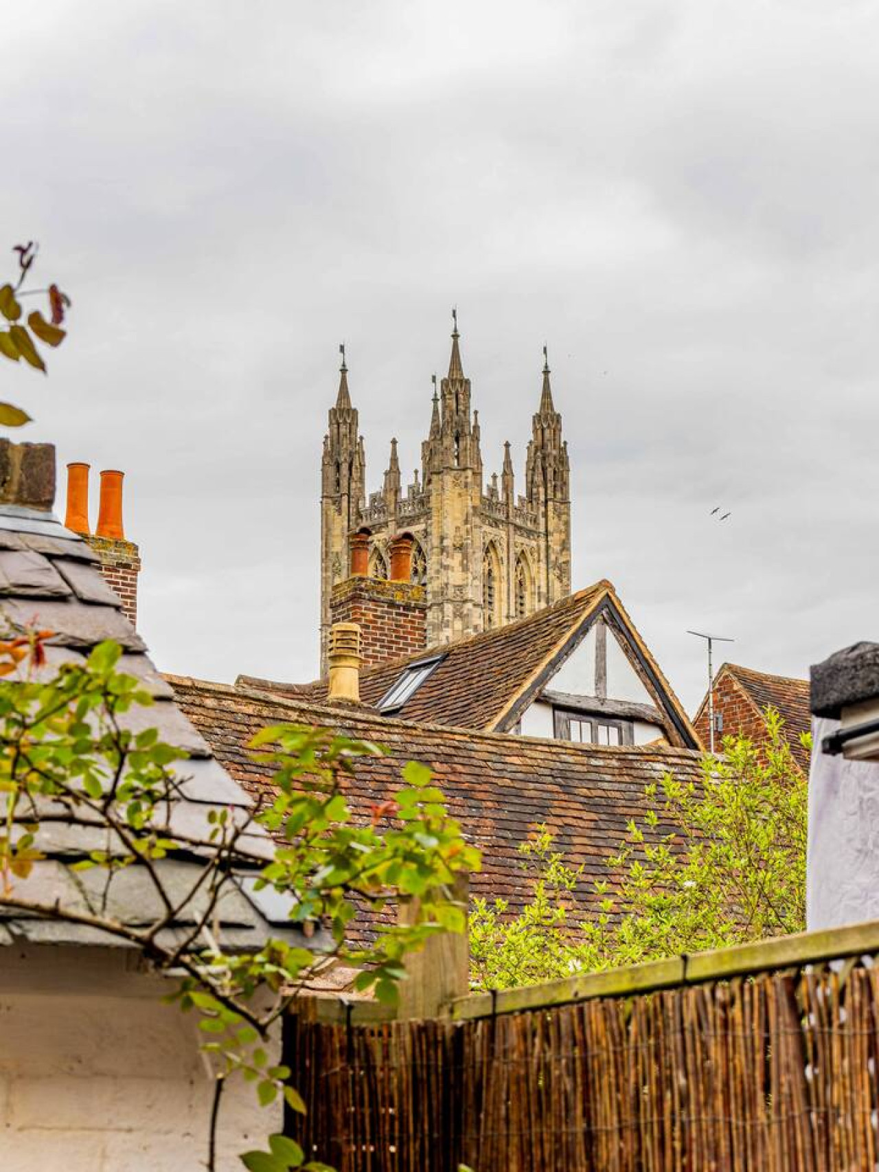 City Centre Cottage | Canterbury | Garden & Views in 41 King Street - Property image 34 - VivreStays