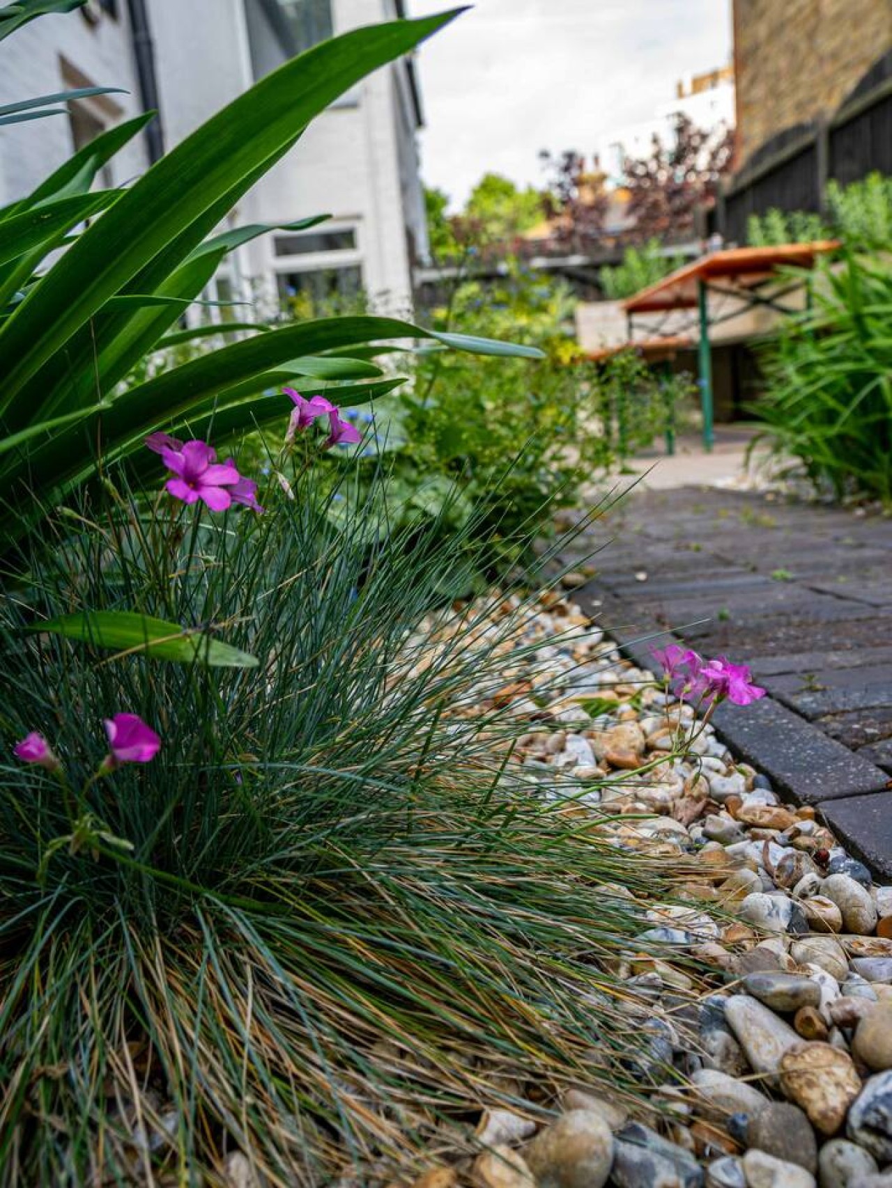 Seagrass Cottage in 14 Swanfield Road - Property image 56 - VivreStays